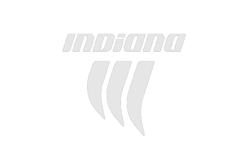 Indiana Usados
